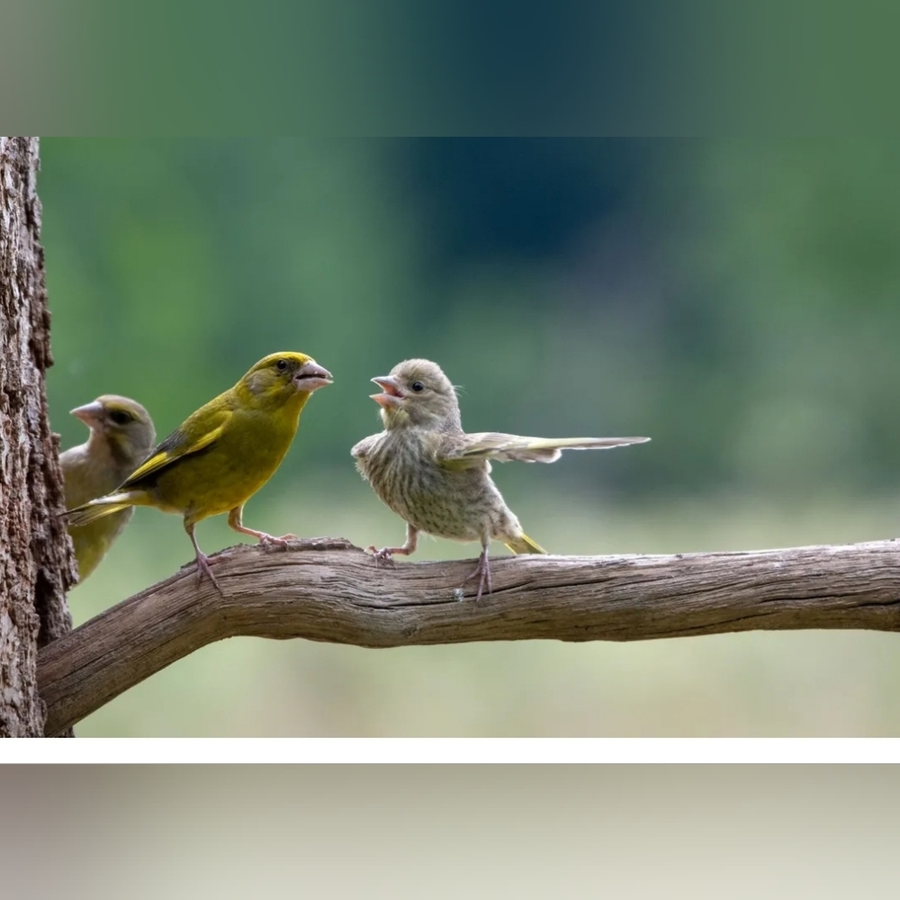 Nature is Free!